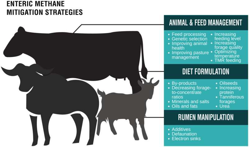 Full adoption of existing mitigation strategies can help meet livestock methane reduction targets by 2030