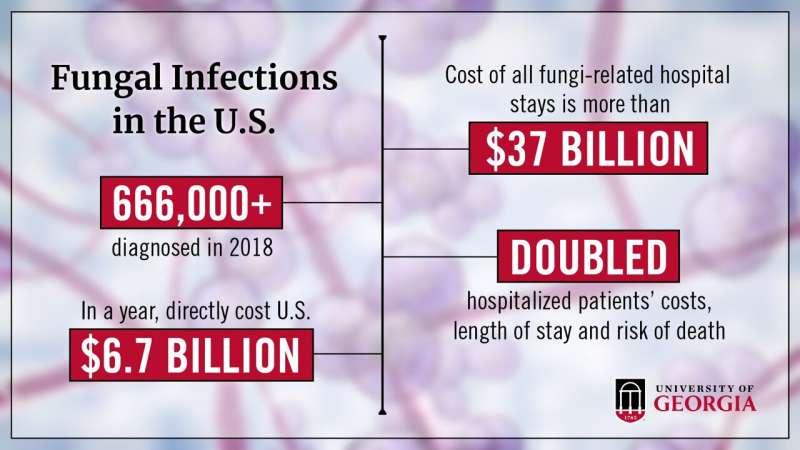 Fungal infections cost U.S. $6.7B in a year