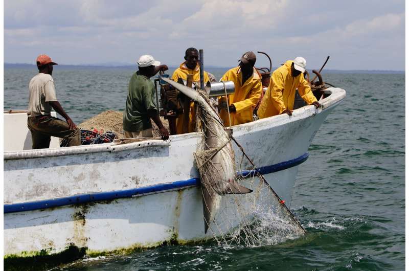 Gabon provides blueprint for protecting oceans