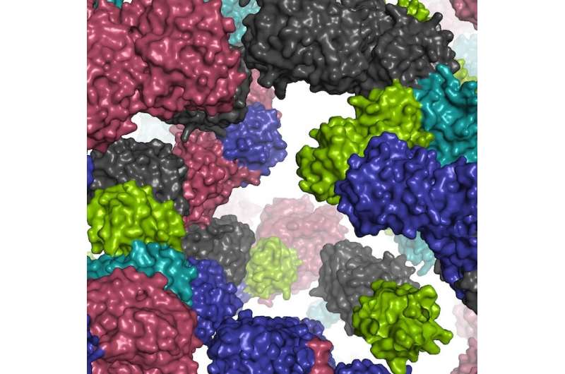 'Game-changing' study offers a powerful computer-modeling approach to cell simulations