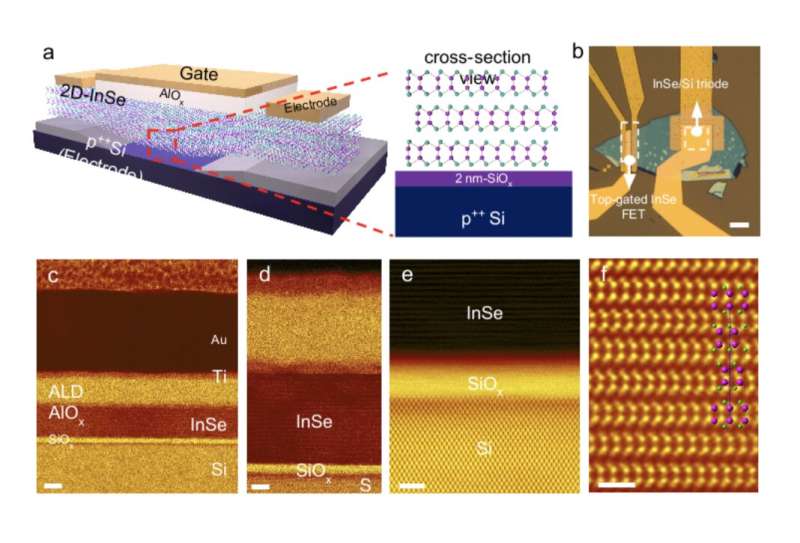 Gate-tunable heterojunction tunnel triodes based on 2D metal selenide and 3D silicon