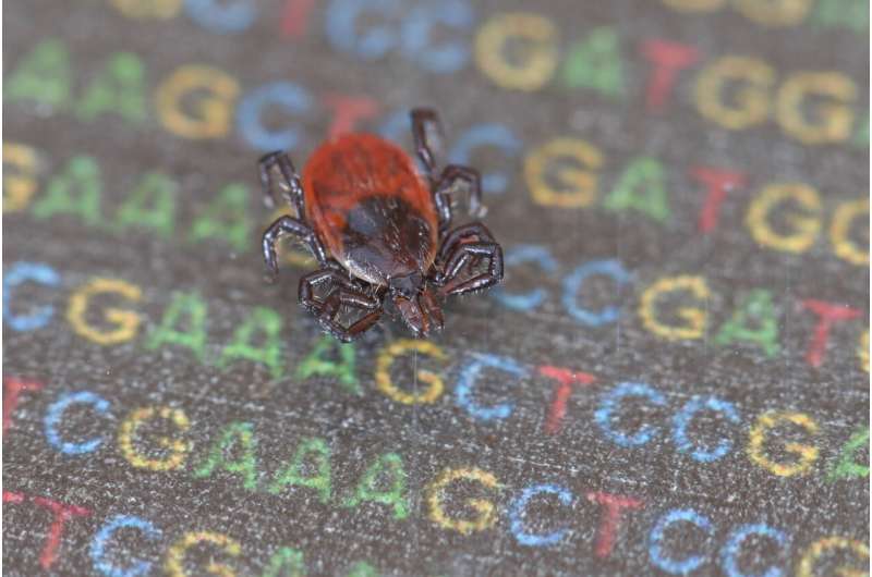 Gene editing is now possible in ticks