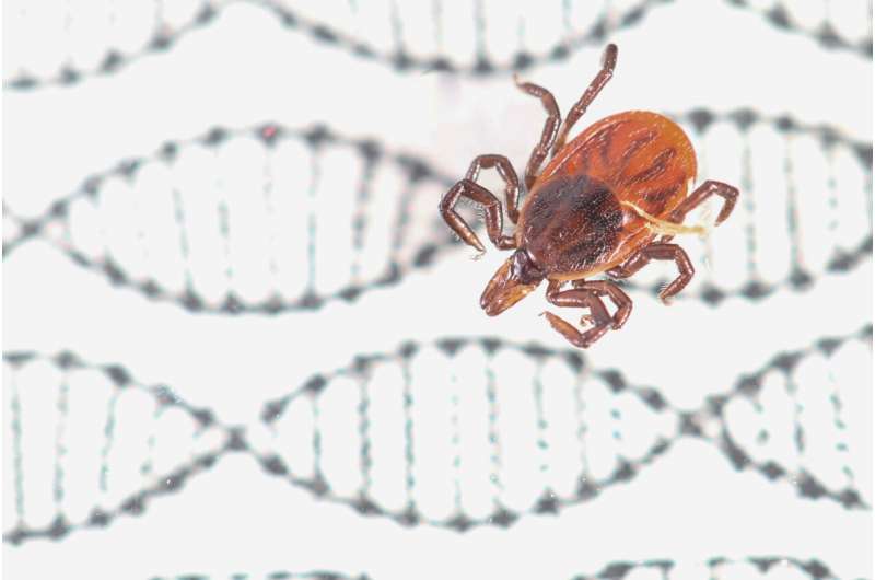 Gene editing now possible in ticks