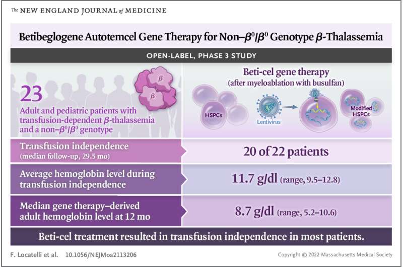 Gene therapy promotes transfusion independence for severe beta-thalassemia