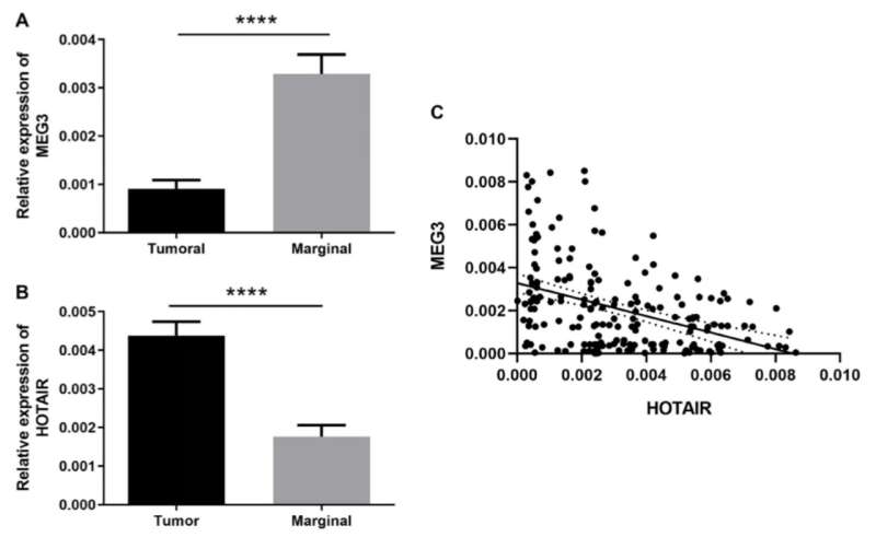 Gen &  Ung thư |  Biểu hiện của HOTAIR và MEG3 có liên quan tiêu cực đến tình trạng dương tính với H. pylori trong ung thư dạ dày