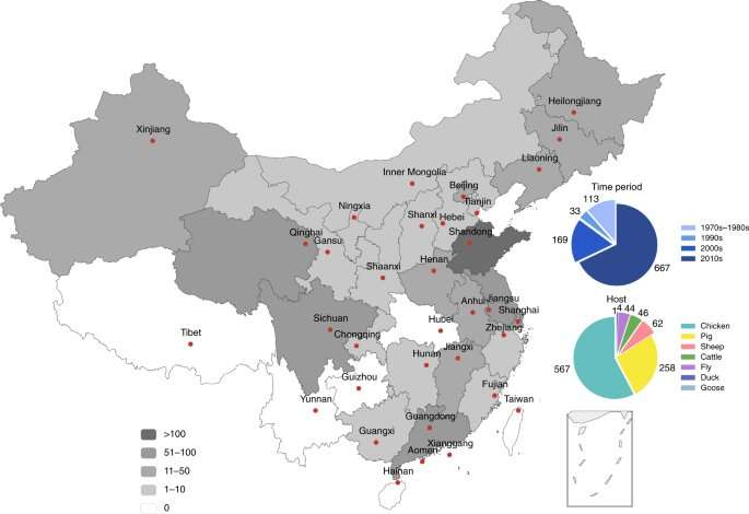 Genetic study of bacteria in livestock in China shows growing resistance to antibiotics