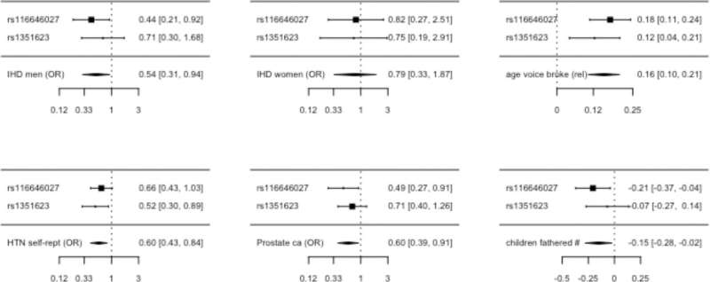 Genetic validation of a new means of protecting men against cardiovascular disease
