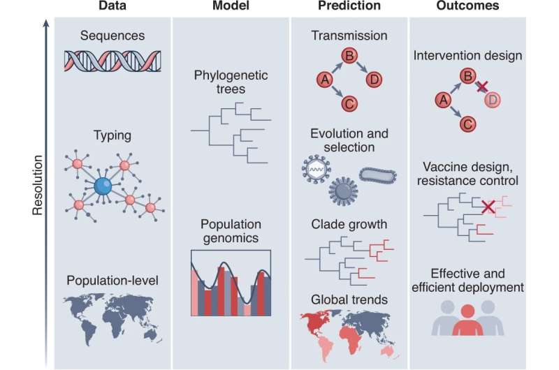 Genomic data can improve pandemic modelling, researchers say