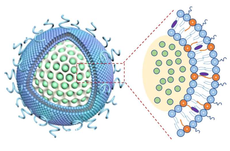 'Glass bubble' nanocarrier versterkt effecten van combinatietherapie voor alvleesklierkanker