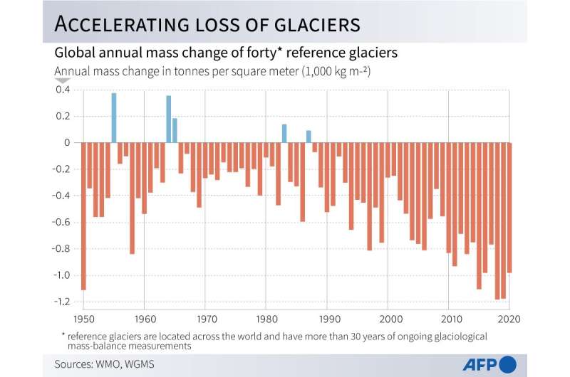 Global annual mass change of forty reference glaciers located worldwide