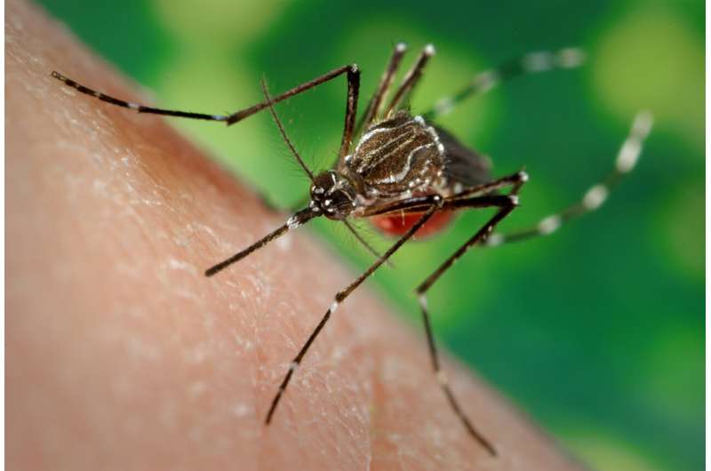 Παγκόσμιος πίνακας ελέγχου για την παρακολούθηση εισβολέων κουνουπιών που μεταφέρουν θανατηφόρες ασθένειες