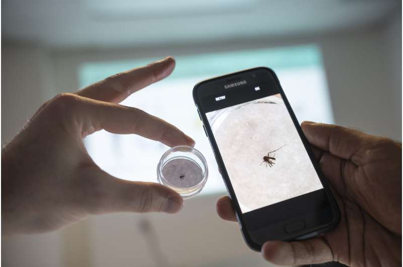 Παγκόσμιος πίνακας ελέγχου για την παρακολούθηση εισβολέων κουνουπιών που μεταφέρουν θανατηφόρες ασθένειες