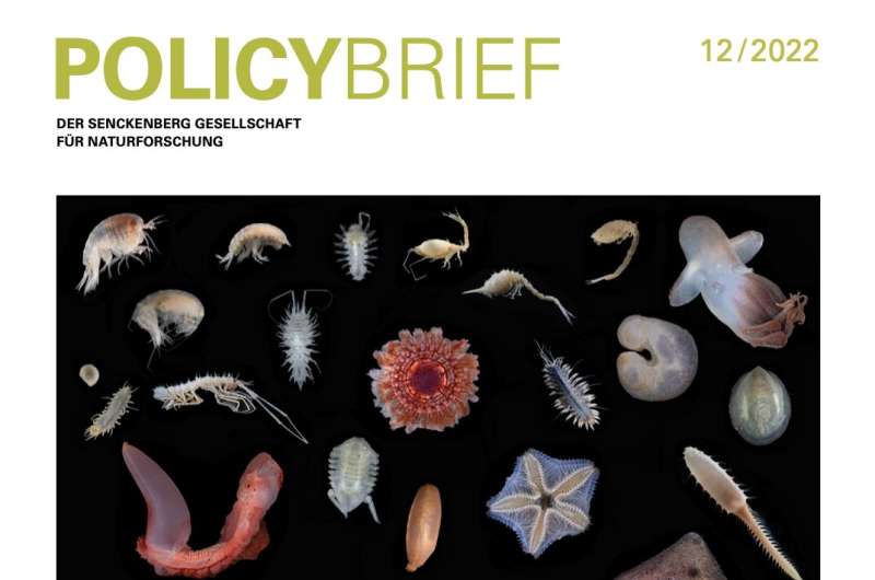 Global marine experts urge COP15 policy-makers to support research to find, catalogue, protect disappearing deep-sea species