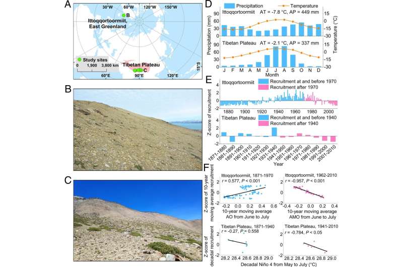 Global warming suppresses shrub recruitment in Arctic and Tibet