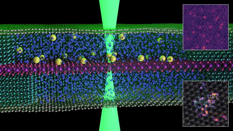 Graphene scientists capture first images of atoms 'swimming' in liquid