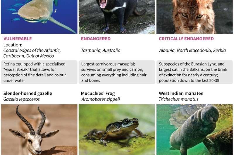 Graphic introducing six threatened species, as the COP15 biodiversity conference takes place in Montreal