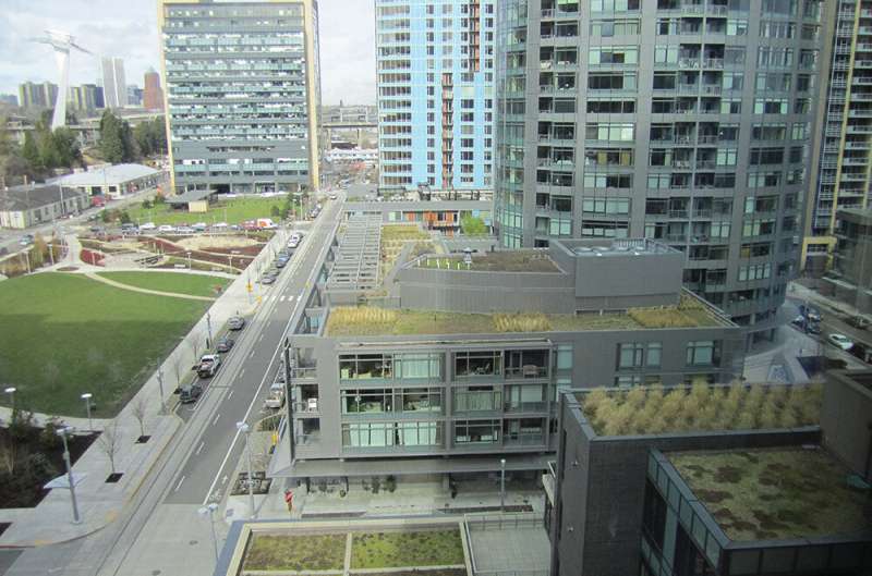 Green roofs are worth the cost for urban residents