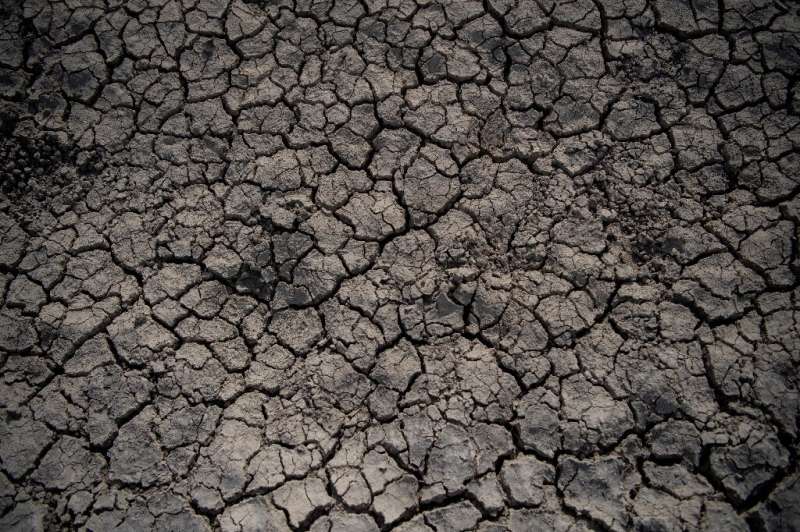 Greenpeace estimates that 75 percent of the country is susceptible to desertification