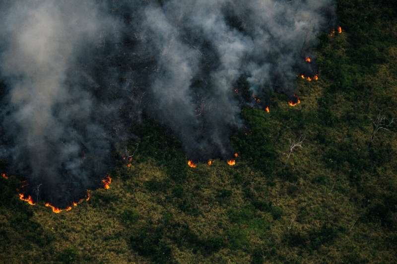 Greenpeace picture showing smoke billowing from a fire in the Amazon forest in the municipality of Porto Velho, Rondonia State, 