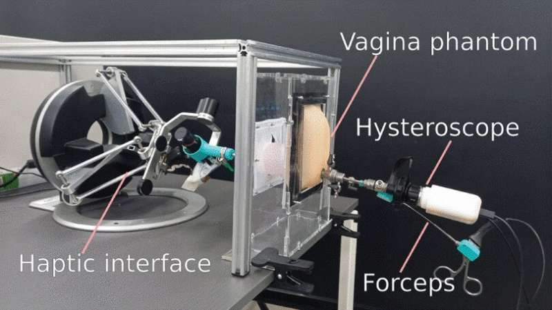Gynecologists practice minimally invasive hysteroscopy on innovative simulator with tactile feedback