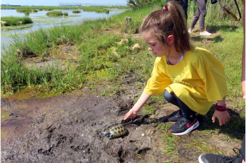 Happy together: Orphaned turtles and kids who set them free