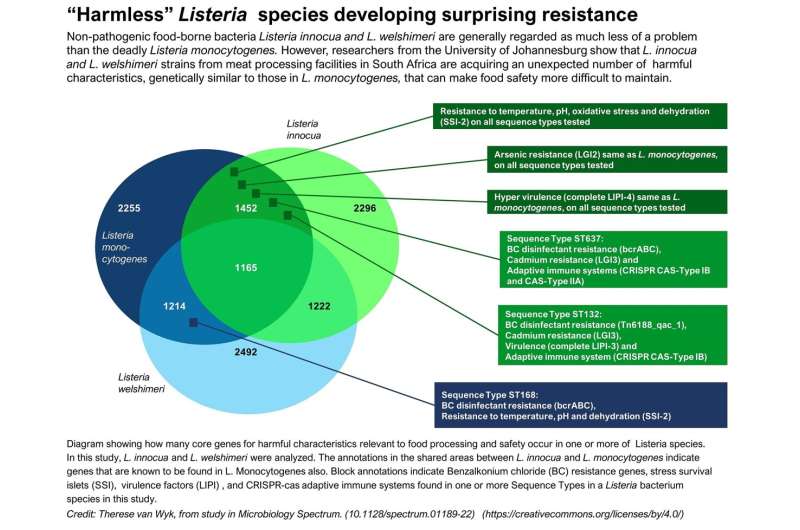 “Harmless” Listeria species developing pathogenic resistance