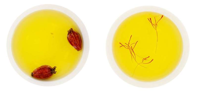 Harnessing the power of saffron color for food and future therapeutics