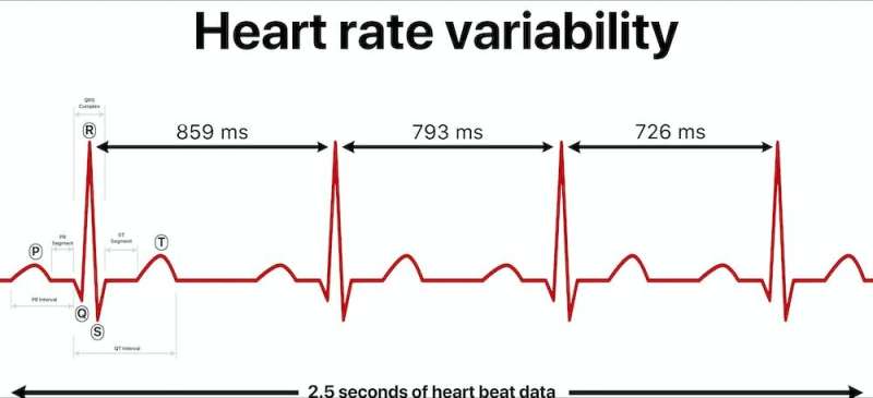 Variabilidade da frequência cardíaca - o que saber sobre essa medição biométrica da maioria dos rastreadores de fitness