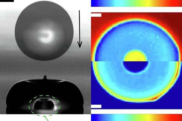 Heat conduction important for droplet dynamics