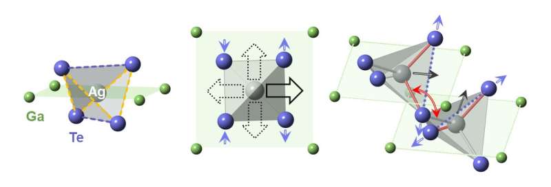 Hidden distortions trigger promising thermoelectric property