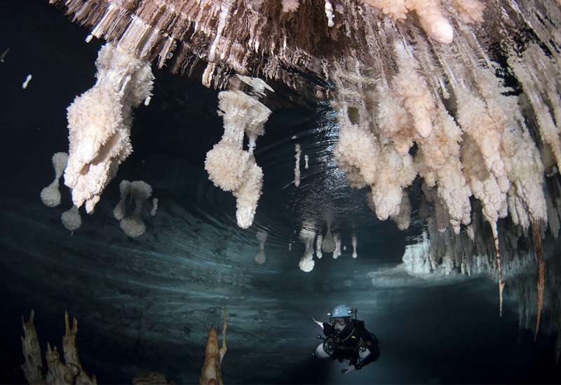 Hidden in caves: mineral vegetation reveals unprecedented modern sea level rise