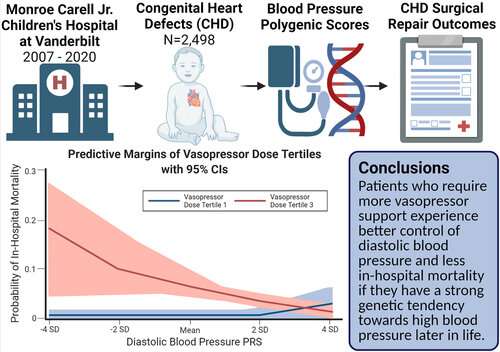 High blood pressure genes improve heart surgery survival in children