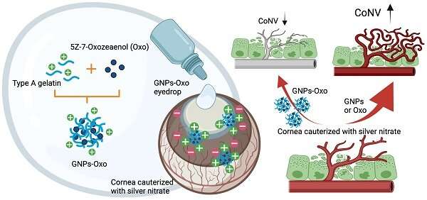 High-tech eye drop research targets corneal damage