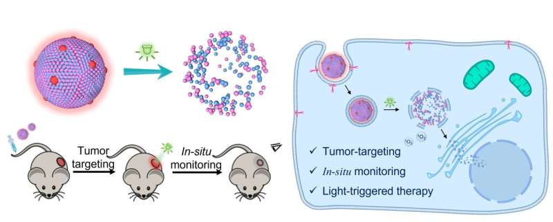 HKU develops a light-controlled nanomedicine for precise drug delivery to treat colorectal cancer