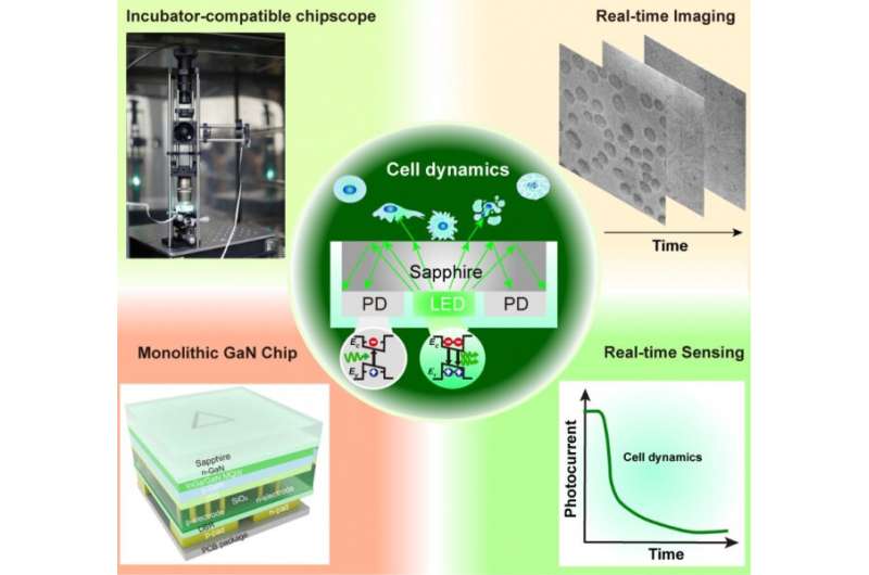 HKU Engineering team develops a novel photonic chipscope for label-free monitoring of live cell activities