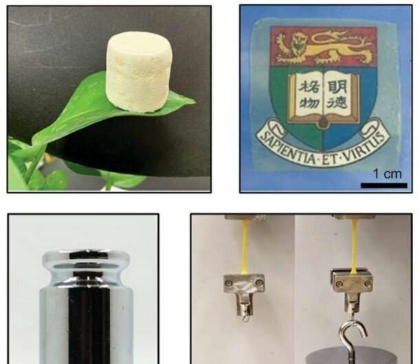 HKU Mechanical Engineering researchers develop ultra-strong aerogels with materials used in bullet-proof vests