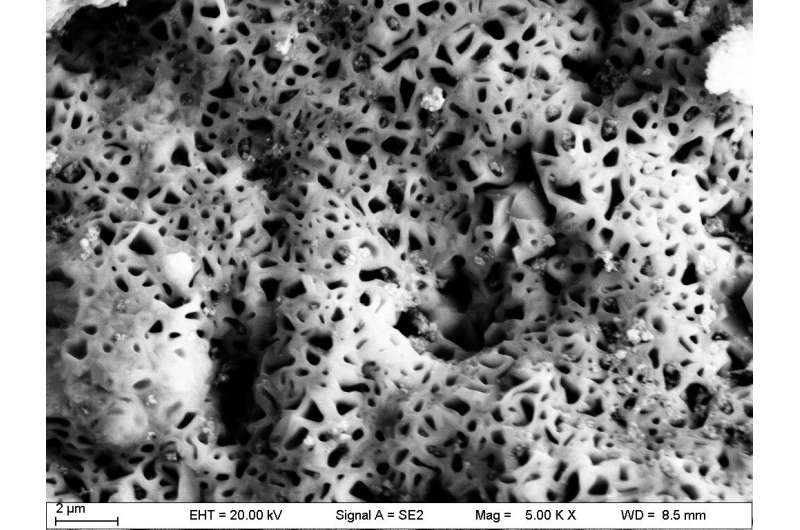 Honeycomb structure with oxygen-poor pores found in oxide scale on small lead-based reactor materials