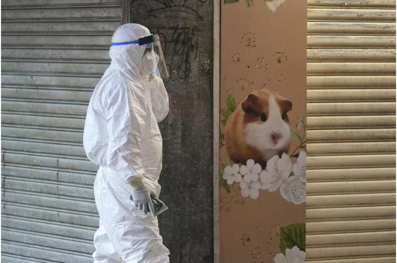 Hong Kong to kill 2,000 animals after hamsters get COVID-19