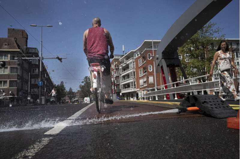 Hot, dry summer: Dutch government declares water shortage
