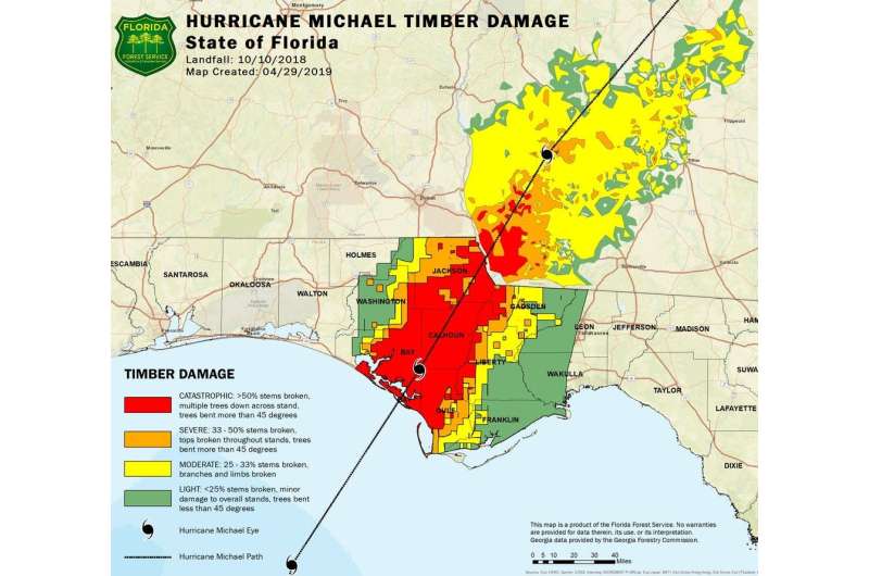 How a hurricane fueled wildfires in the Florida Panhandle