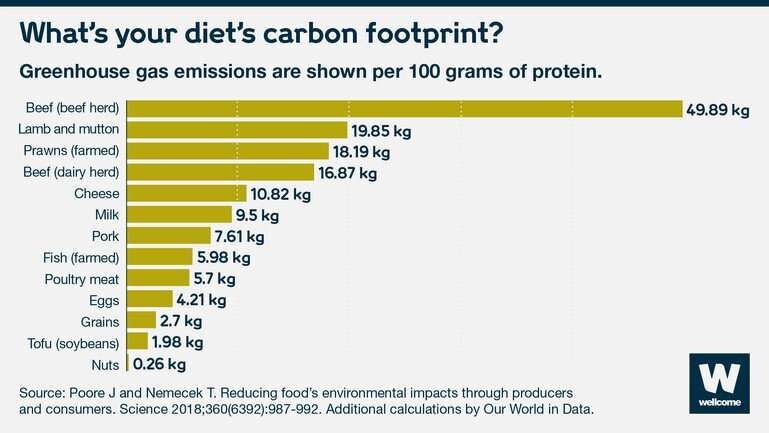 How changing your diet can help fight the climate crisis