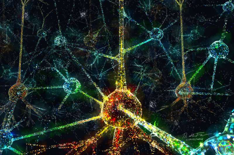 How do we provide meaning to our environment? Cracking the neural code to the brain