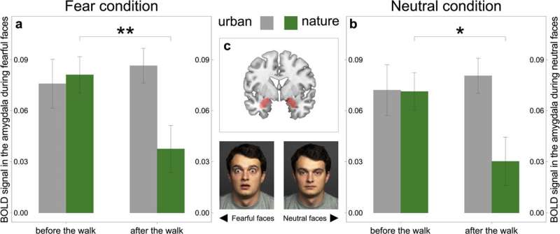 How does nature nurture the brain?