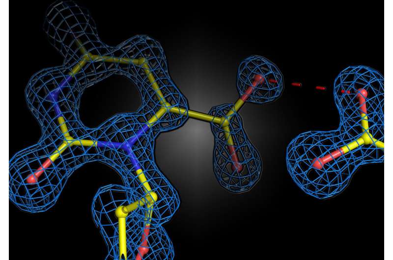 How equal charges in enzymes control biochemical reactions