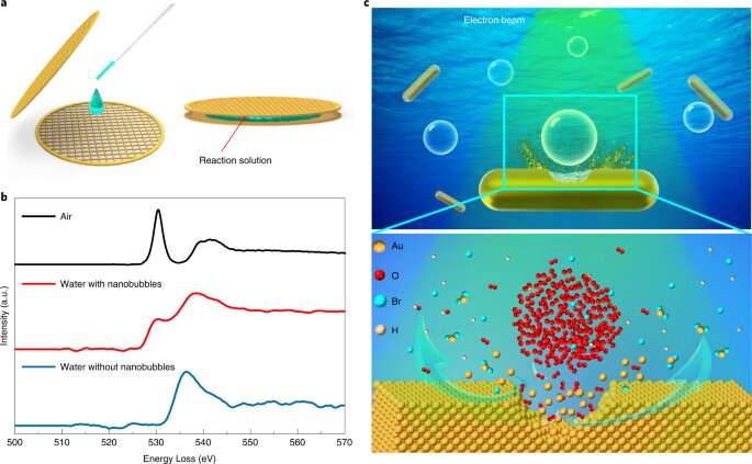 How gas nanobubbles accelerate solid-liquid-gas reactions