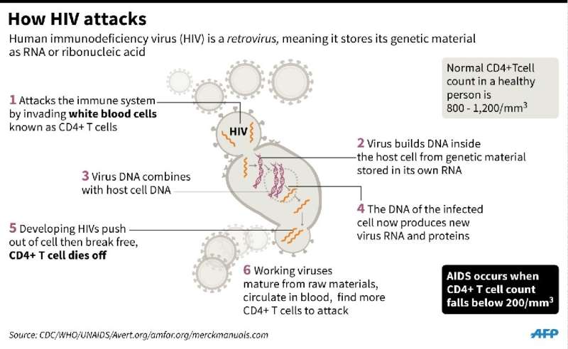 How HIV attacks white blood cells