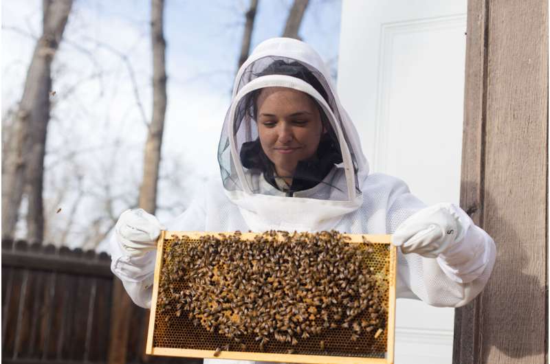 ¿Cuántas abejas caben en una máquina de rayos X?  eso no es una broma