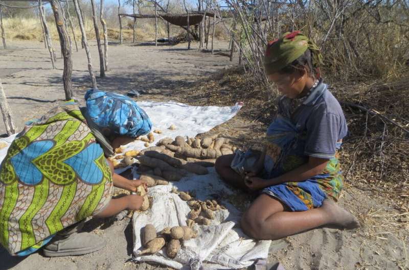 How money brings hunter-gatherers new choices