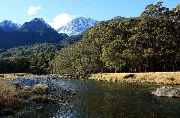 How New Zealand's review of ecologically important land could open the door to more mining on conservation land