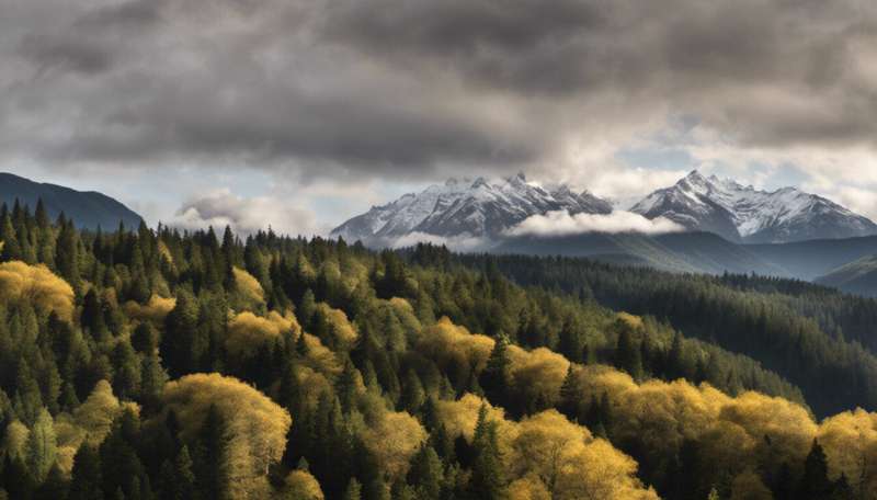 How NZ could become a world leader in decarbonisation using forestry and geothermal technology